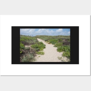 Beach Path Posters and Art